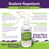 Peppermint Oil Spray for Rodents Plus Cinnamon Oil - MAX