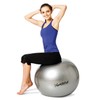 Pezziball Standard Exercise Ball, 42 cm