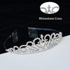 Merroyal First Communion Veil and Tiara Set, 24 inch White