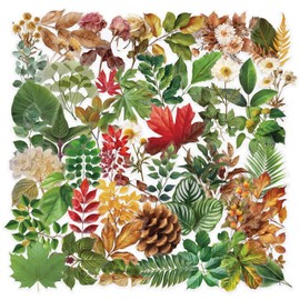 Botanical Leaf Stickers Fall Maple Leaf 50Pcs Bulk Pack - Aesthetic Waterproof PET & Vinyl Decals for Water Bottles, Laptops, Phones, Skateboards - Autumn Nature Stickers for Adults Teen