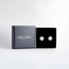 SOFIA MILANI - Women's Earrings 925 Silver with Zirconia Stones