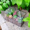Large Glass Terrarium House Planter – Succulent Plant Glass Greenhouse
