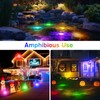 POPOSOAP Pond Lights with Timer, RGB Colors Underwater Pond Lights