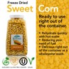 Premium Sweet Corn Freeze-Dried - 100% Natural, Healthy Snack, 8