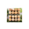 32x Natural Cedar Moth Balls Jasmine Scented