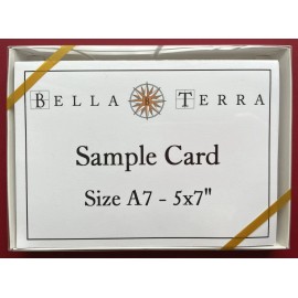 Bella Terra Reading RR Streamliner #902, Perkasie Station, Penna. James Mann Art Notecards - Set of 12