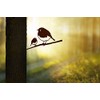 METALBIRD - Robin and Chicks - Outdoor Garden Ornaments in
