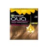 Garnier Olia Hair Dye, Permanent Colouring without Ammonia, Covers 100%