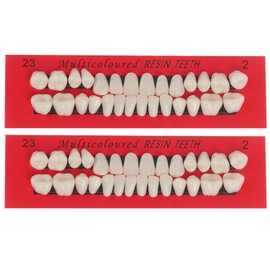 Pack of 56 Multi-Purpose False Teeth, Synthetic Polymer Teeth, False Teeth in Dental Complete Acrylic Resin, Replacement False Teeth, Provisional Teeth, Resin Teeth