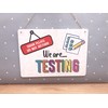 We Are Testing, Test In Progress, Please Do Not Disturb