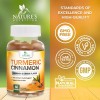 Nature's Nutrition Turmeric Ginger Cinnamon Gummies - Vegan Turmeric Curcumin