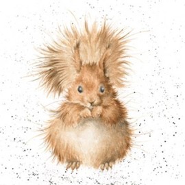 Birthday / Blank Artist Greeting Card (WRE1107) Red Squirrel