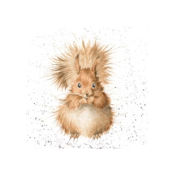 Birthday / Blank Artist Greeting Card (WRE1107) Red Squirrel