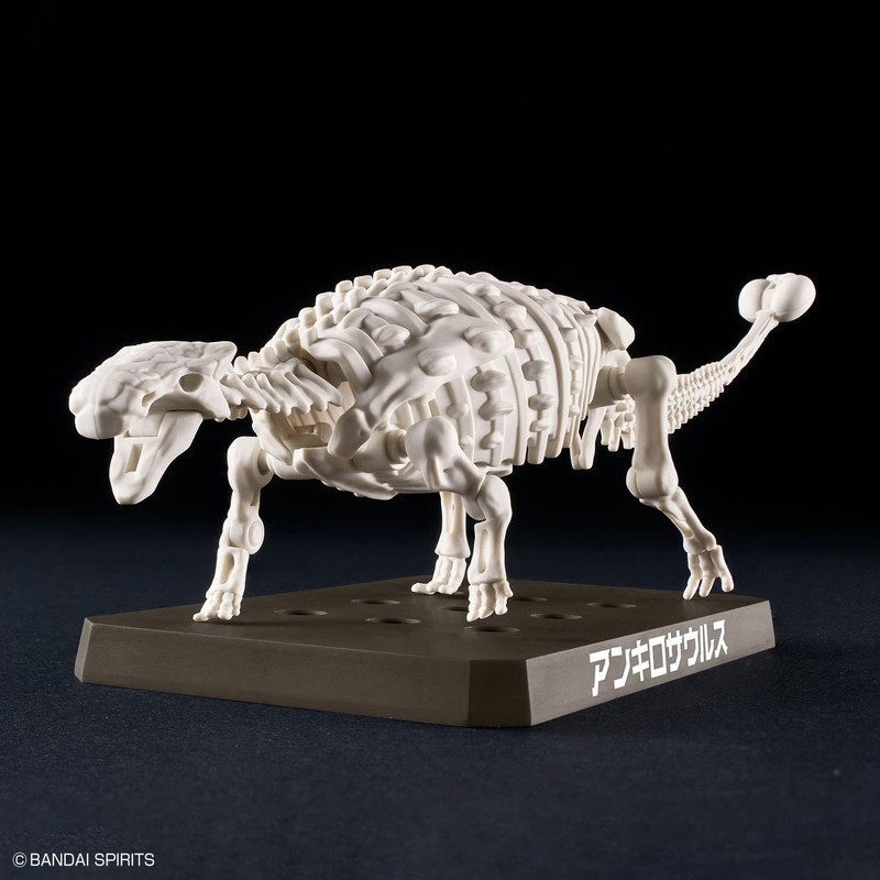 Planosaurus Ankylosaurus Color-Coded Plastic Model