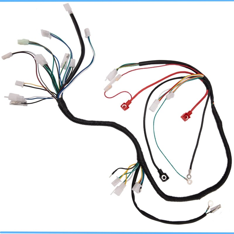 Fremnily Complete Wiring Harness Kit Replaces ATV 4-Stroke ATV Quad