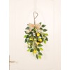 Artificial Lemon Teardrop Wreath Wall Hanging Teardrop Lemon Fruit Wreath