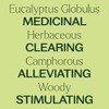 Plant Therapy Aceite Esencial De Eucalipto Orgánico 10ml