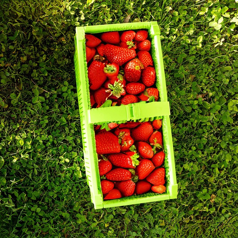KADAX Plastic Harvest Basket, 40 x 18 x 11.5 cm,