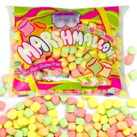 Mini Marshmallows - Colored Marshmallow & Flavored, 1 lb,Nut-Free, Gluten-Free, Kosher Marshmallows - 2 Bags for Baking, Snacks, S'mores"
