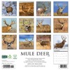 Mule Deer 2026 12" x 12" Wall Calendar