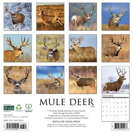 Mule Deer 2026 12" x 12" Wall Calendar