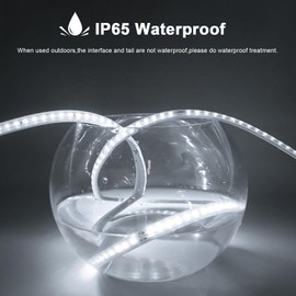 AIMENGTE - Tira de luces LED para habitación, CA 110 V, 240 LED, 6500 K, impermeable, para exteriores, para jardín, patio, interior, debajo del gabinete, recámara, cocina, sala de estar (6.5 pies,