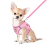 FEimaX Dog Harness and Leash Set, No Pull Breathable Soft