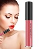 Glossy Lip Gloss | Long Lasting Glitter Lip Gloss |