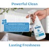 Lively Home Cleaning & Stain Removal Bundle – Multi-Purpose Cleaner