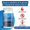 Polinicotinato De Cromo 500mg 90 Caps | Suplemento Nutricional |