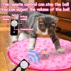 Mity Rain Cat Interactive Toys for Indoor Cats, Self Rolling