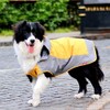 Umora Dog Ventilated and Hooded Raincoat - Rain Gear for