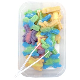 Zweet Sour Gummy Spiders 10 Ounce – Sour Kosher Candy, Halal Candy – Resealable Pack of Sour Gummy Candy, Gummy Insects,