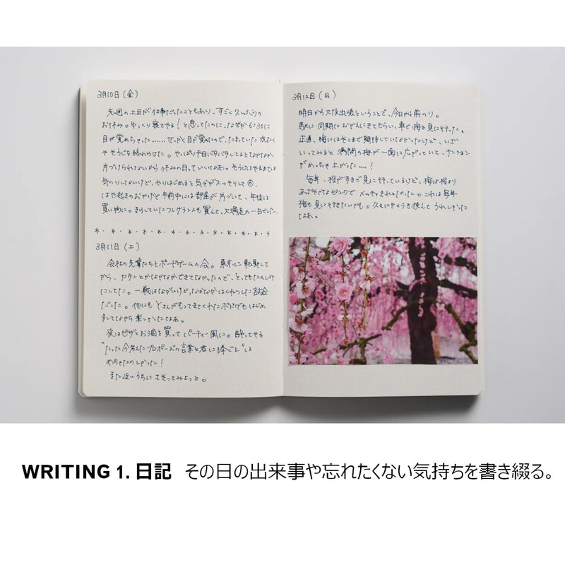 Kokuyo WP Series Pen (Rollerball WP-F200, Black)