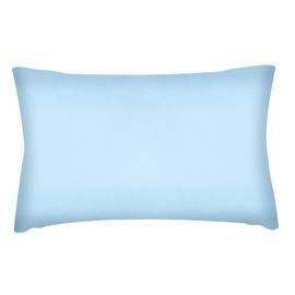 WIYETY Mini Nap Pillow for Children, with Pillow Case, Cotton, Mini Pillow for Travel, Soft Pillow, Children's Lunch Nap Pillow, Pillow for Children (Blue, 28 cm x 17 cm)