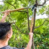 Berry&Bird Loppers and Pruners Heavy Duty, 28 Inch Bypass Loppers