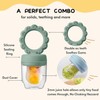 Baby Fruit Dummy for Baby, Fruit Teat Baby from 6