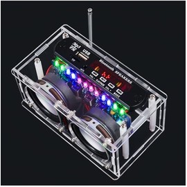 DIY Bluetooth Lautsprecher Löten Bausatz mit Radio, Elektronik Audio Amplifier Music Stereo mit Display und Acrylgehäuse, Unterstützt FM, AUX, BT 5.0, USB, TF Modus