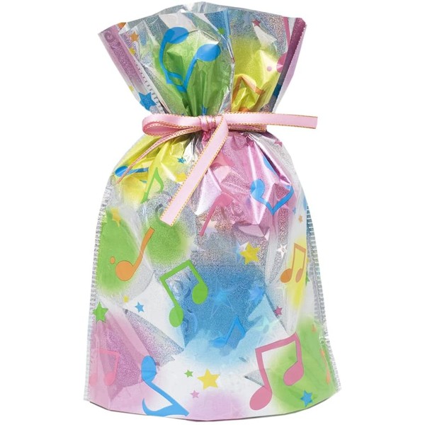 Gift Mate 21005-9 9-Piece Drawstring Gift Bags, Small, Musical Notes