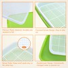 Gardzen 5-Pack Sprouts Growing Kit, Bean Sprouts Tray, Soil-Free Sprouting