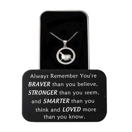 BNQL Pharmacist Gifts Necklace Rx Gift Pharmacist Technician Jewelry Pharmacist Graduation Pharmacist Appreciation Gifts Rx Necklace Box, Stainless Steel