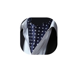 HISDERN Men's Wedding Ascot Tie Polka Dot Elegant Business Neckerchief, A4-navy blue