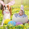 Unique style paws Easter Dog Collar, Holiday Bunny Eggs Dog