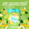 Bin Buddy Fresh Citrus + Citronella, 450g