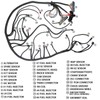 ZZCSZ LS Standalone Wiring Harness 4.8 5.3 6.0 Compatible with