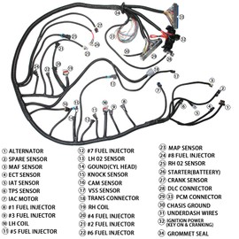 ZZCSZ LS Standalone Wiring Harness 4.8 5.3 6.0 Compatible with 1999-2006 GM Vortec Engines 4L60E with Adapter Transmissions Complete Wire Harness for Fuel Injection System DBC Engine Harness