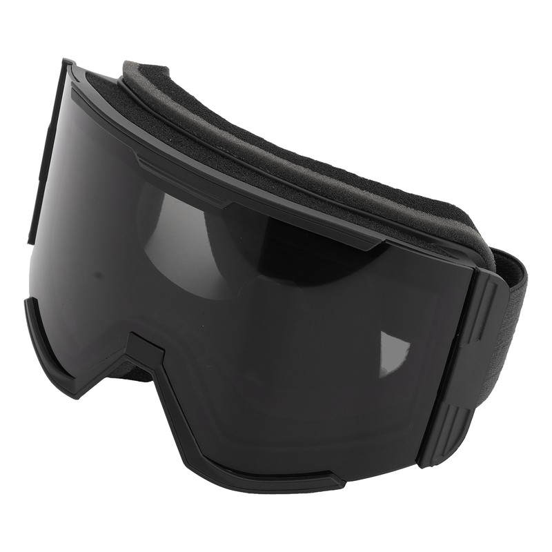 Adult Ski Goggles Double Layer Anti Fog Large Field Cylindrical