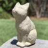 Bird Watching CAT: Solid Durable Stone. Distressed Weathered Worn Detail.