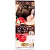 Salon de Pro Hair Manicure Speedy 5 Natural Brown 100g