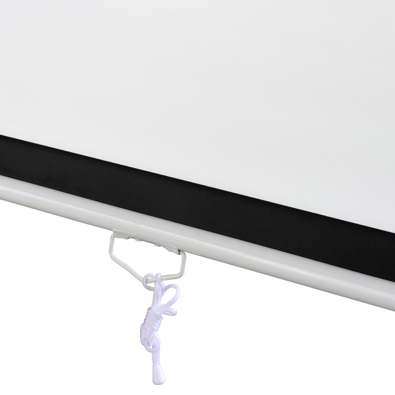 Segawe 100 Inch Manual 16:9 Pull Down Projector Screen Home